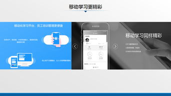 鼎维教育 引领未来，定制化教育软件与系统开发的专业先锋